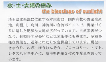 水・土・太陽の恵み